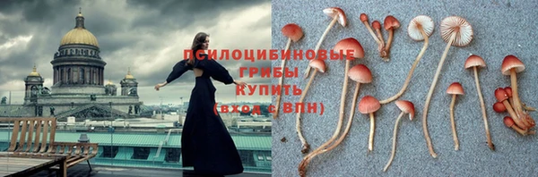 mdpv Балахна