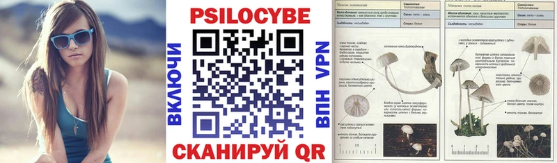 Галлюциногенные грибы прущие грибы  Купить где  Сретенск 